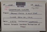 Image Associated With the Occurence
